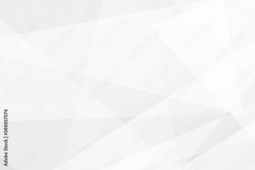 Fototapeta premium Abstract white and grey on light silver background modern design. Vector illustration EPS 10.