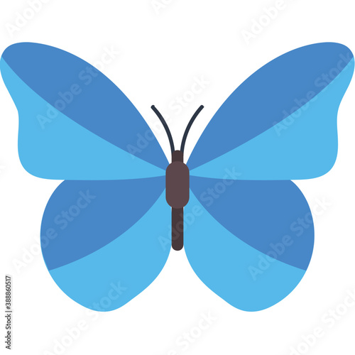 
Finest design icon for blue lepidoptera butterfly 
