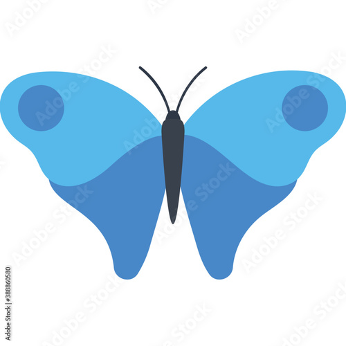 
Finest design icon for blue lepidoptera butterfly 
