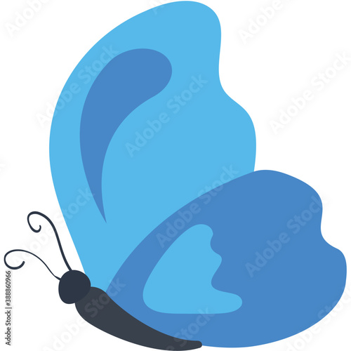 
Finest design icon for blue lepidoptera butterfly 
