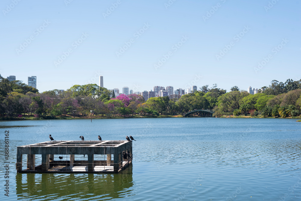 A lake in the park with some birds in the frontview 