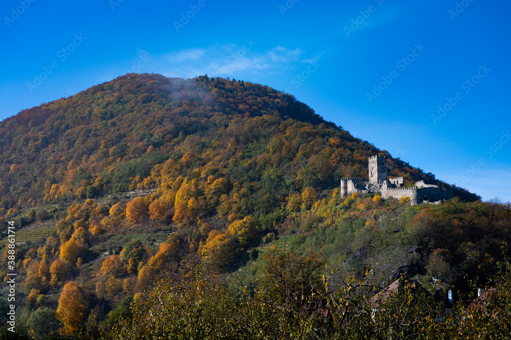Obraz premium Wachauruine Hinterhaus im Goldenen Herbst