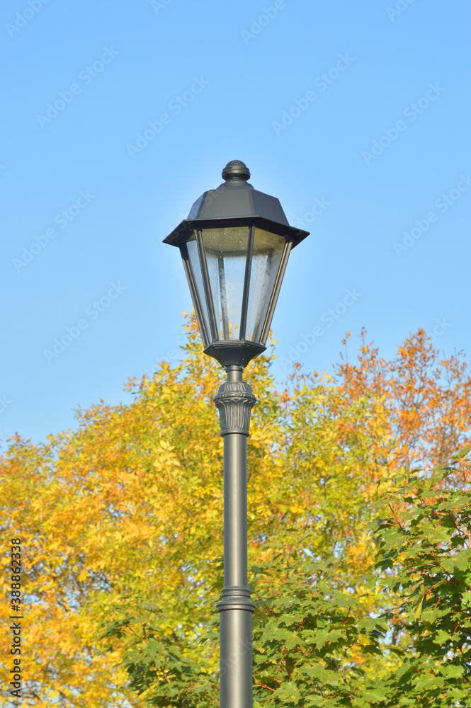 Street lamp in the old style on the background of autumn foliage.
