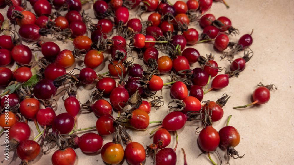 photo of rose hips. red rose hips scattered on craft paper