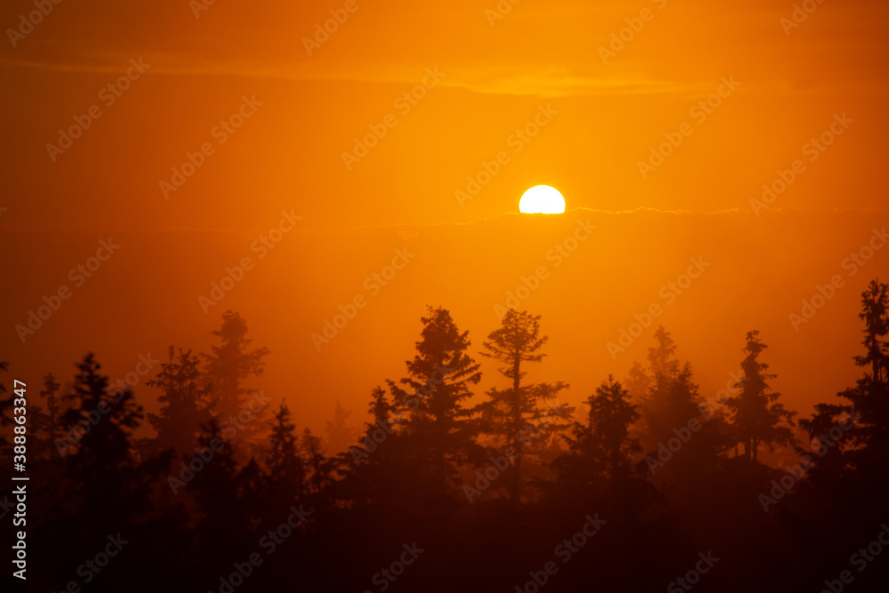 sunset through the fog sunset through the fog