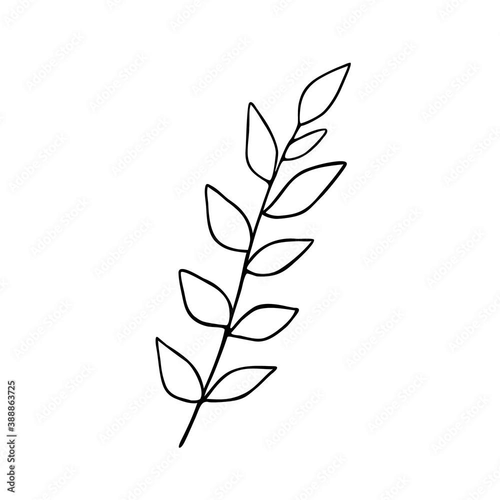 Leaves simple outline vector minimalist concept illustration, thin line hand drawn floral branch, element for invitations, greeting cards, booklet design