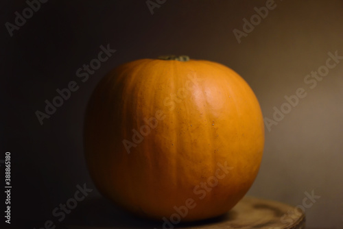 Pumpkin skin background with interior light