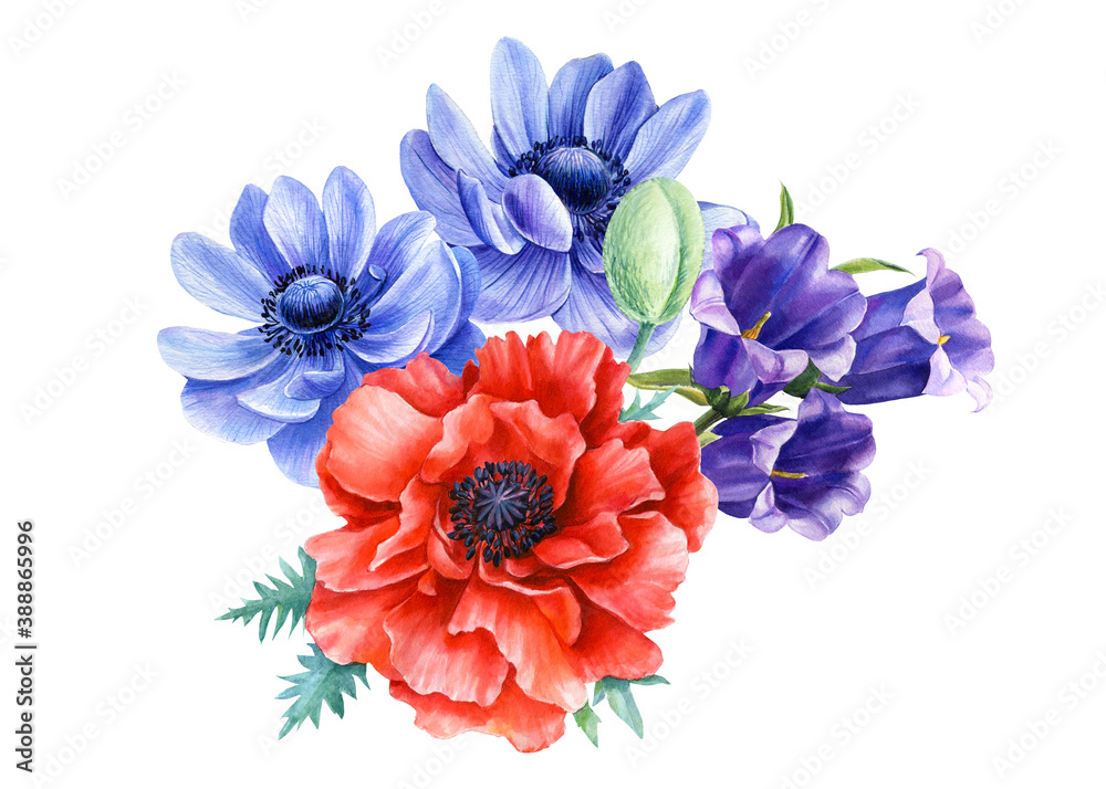 Fototapeta premium Set of red poppies and blue anemones, bell flowers on isolated background, watercolor illustration