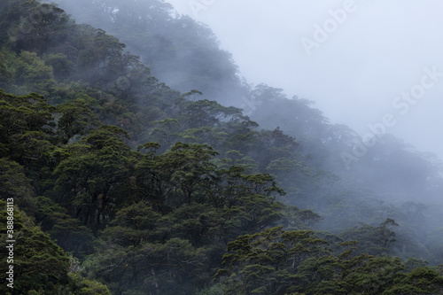 fog in the mountains © Timefocus Films