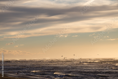 sunset over the sea