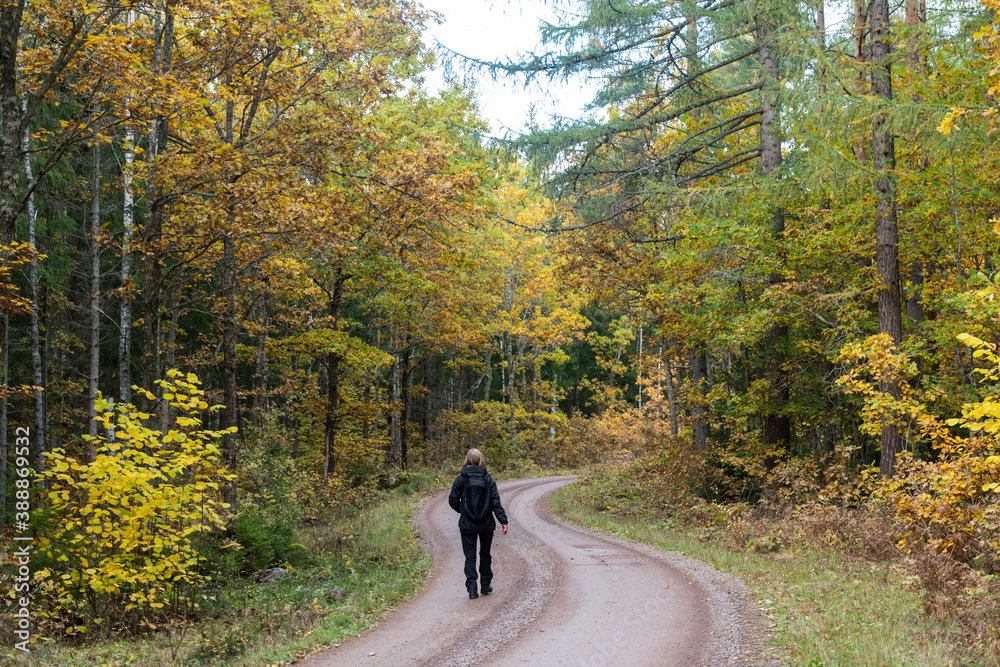 Trekking an a winding gravel road in fall season