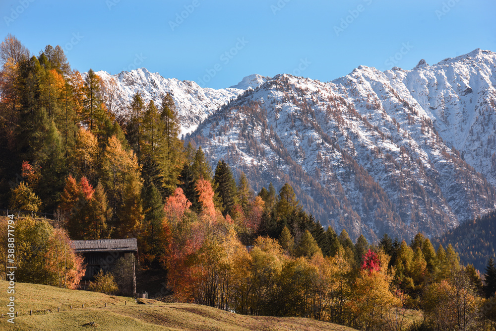 baita montagne chalet autunno alberi colorati magia autunno Pejo Val di Sole 