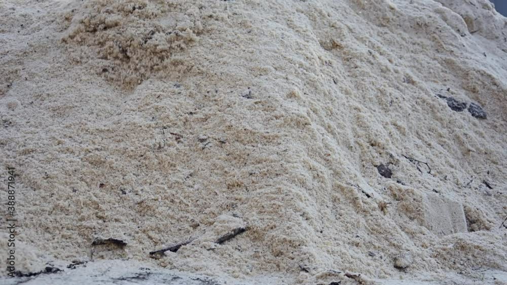 Wood sawdust is removed with a dustpan. Fresh, dry pine and pine