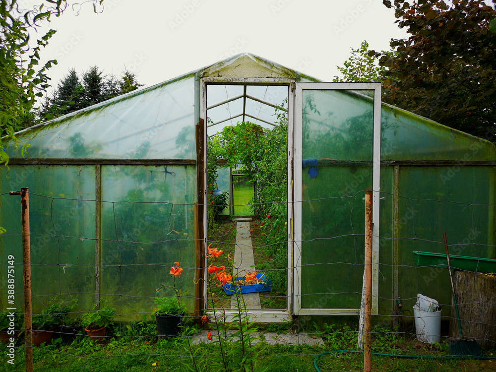 greenhouse in the garden