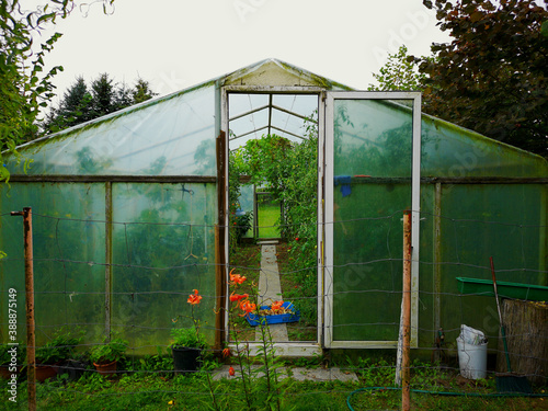 Obraz na płótnie greenhouse in the garden w salonie