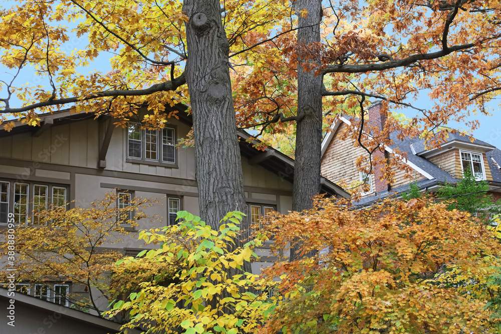 Φωτογραφία Residential neighborhood with lush colorful foliage in autumn