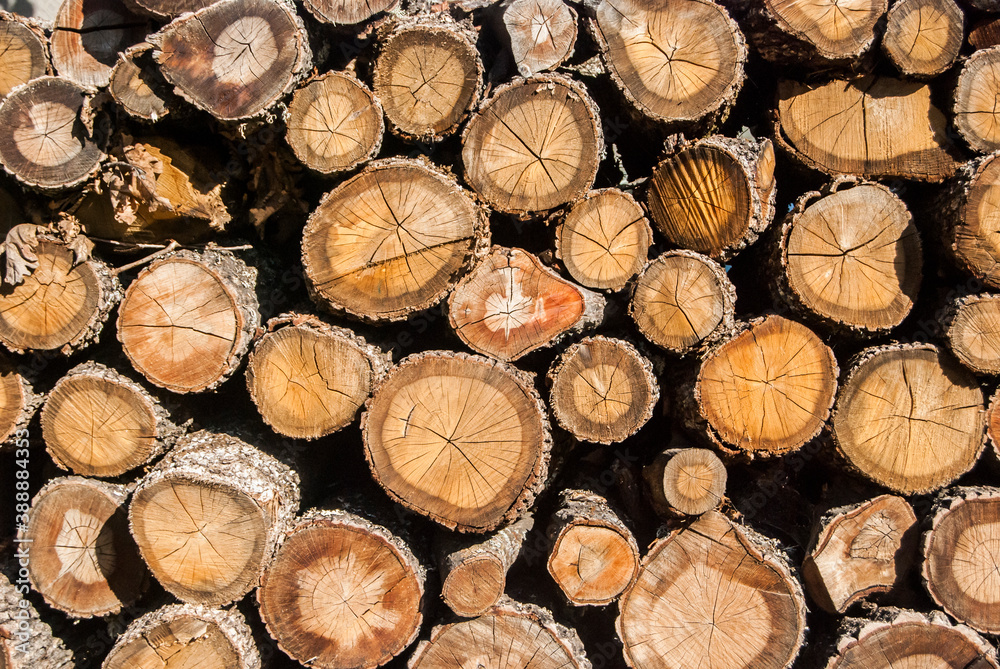 Old dry firewood stacked closeup as wooden background Old dry firewood stacked closeup as wooden background