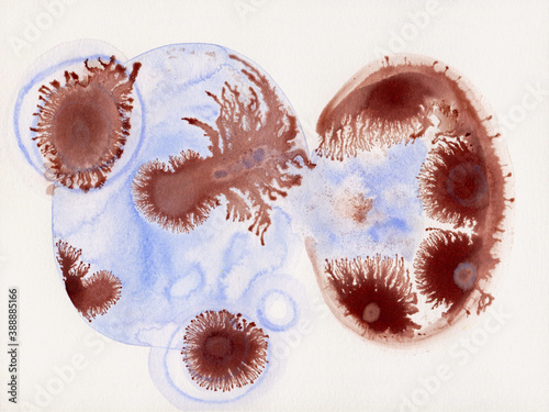 Blue and brown bacterias resembling drawing photo