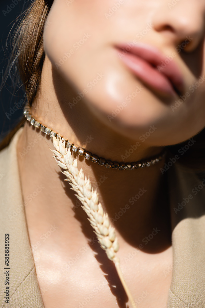 cropped view of woman in necklace near wheat spikelet on dark grey