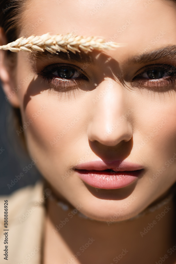 Φωτογραφία close up of young woman looking at camera near wheat spikelet