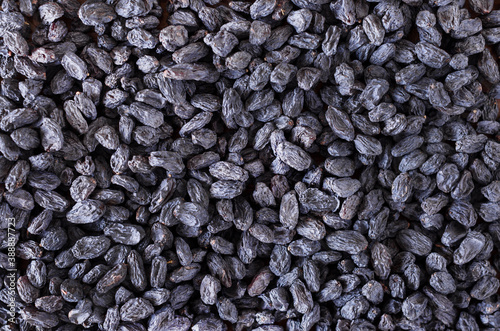 Blue raisin background. Dried grapes photo