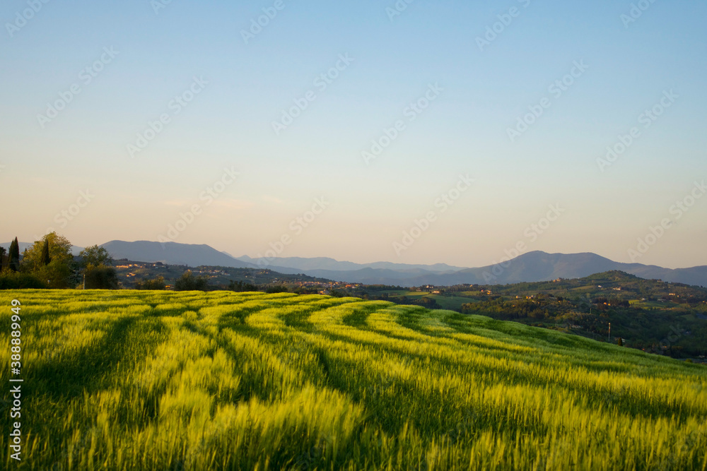 Fields, Toscana, Italy