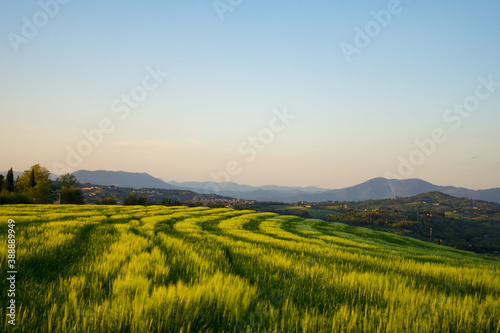 Fields, Toscana, Italy