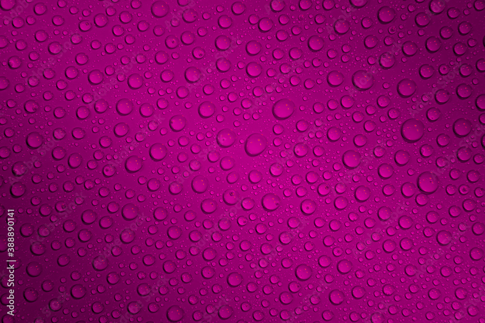 Wet with water drops dark pink background with gradient illumination at two corners, closeup, details Wet with water drops dark pink background with gradient illumination at two corners, closeup, details