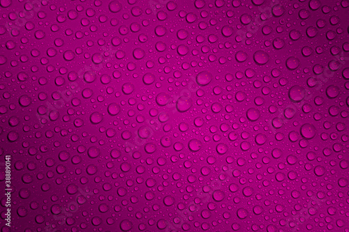 Wet with water drops dark pink background with gradient illumination at two corners, closeup, details