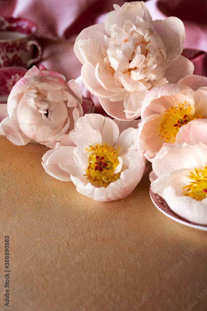 Pink Peonies Pink Peonies