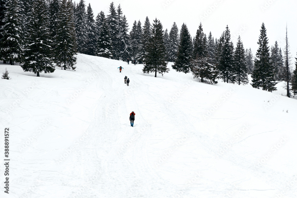 Climbers trekking to top of mountain.