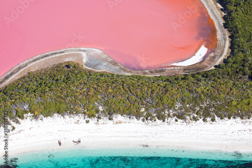 Fotografie Pink salt lakes