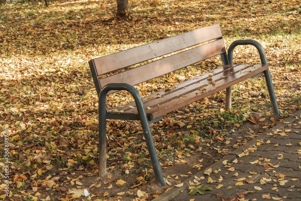 landscape autumn park fallen leaves bench landscape autumn park fallen leaves bench
