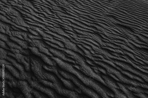 Sand Dune Textures photo