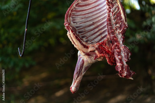 Raw lamb meat drying outdoors photo