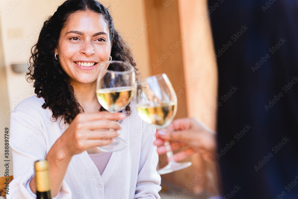Women toasting wineglass while having lunch at back yard Women toasting wineglass while having lunch at back yard
