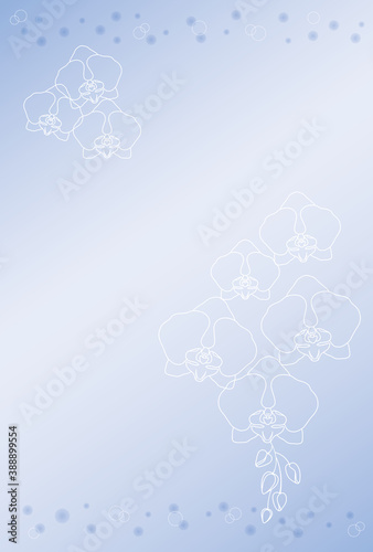 胡蝶蘭カード～線画2～