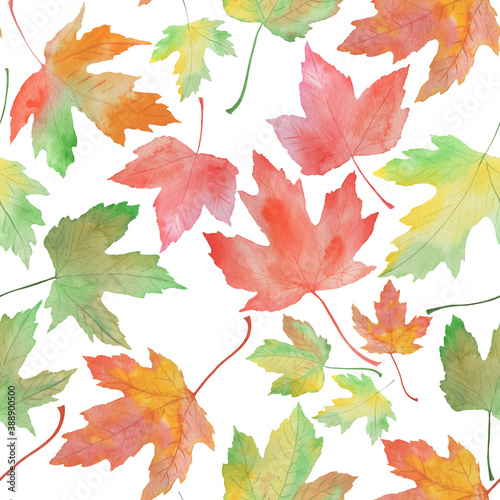 seamless pattern  watercolor illustration  autumn fallen leaves  oak  maple  wallpaper and fabric ornament  wrapping paper