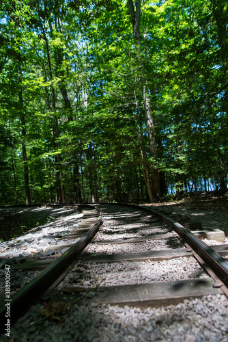 railway in a green forest © kosoff