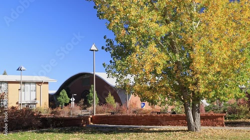 Beautiful fall color around the campus of Northern Arizona University photo