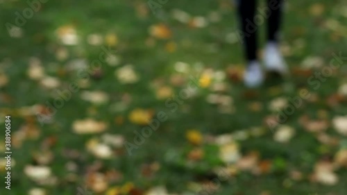 Blurred video of how the legs of a man walk against the background of grass in autumn leaves. An unrecognizable man in black pants and white sneakers walks through the park, blurry video.