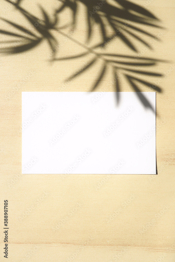 Fototapeta premium テーブルヤシの影と白いカード 5 縦位置