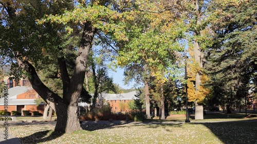 Beautiful fall color around the campus of Northern Arizona University photo