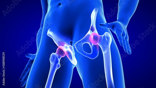 Hip Pain close-up illustration. Blue Human Anatomy Body 3D Scan render on blue background