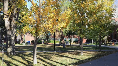 Beautiful fall color around the campus of Northern Arizona University photo