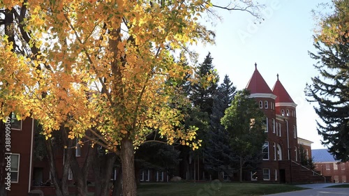 Beautiful fall color around the campus of Northern Arizona University photo