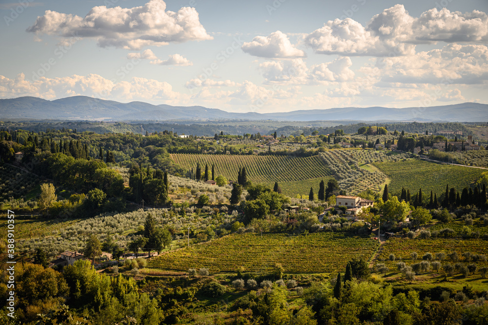Houses and fields in San Gimignano. Tuscany, Italy.