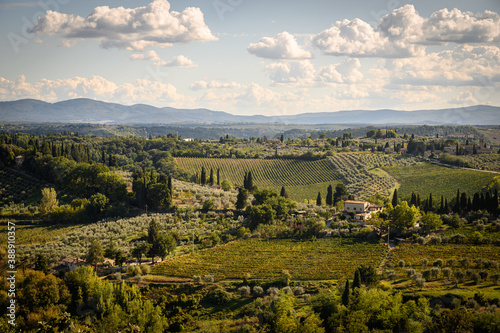Houses and fields in San Gimignano. Tuscany, Italy.