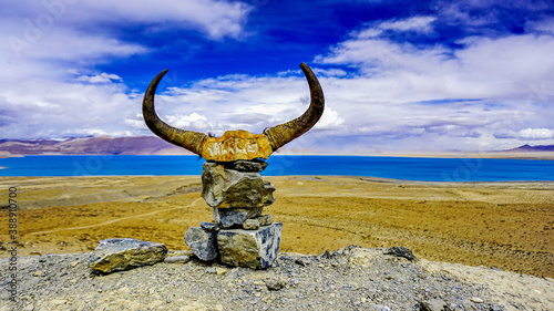 Close-up of a horn sign placed on a rock © ZHI