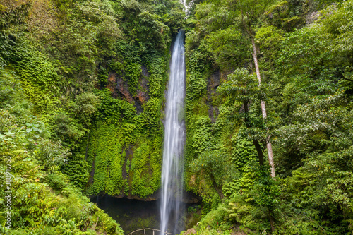 Close-up of a waterfall in the forest of Bali  Indonesia